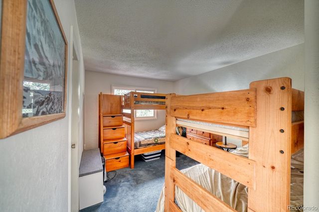 15351 Chimney Rock Road, Nathrop, CO 81236