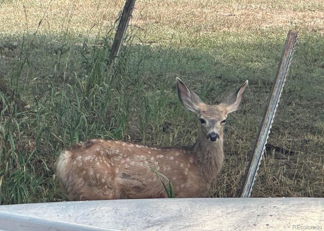 4012 Lakefront Drive, Loveland, CO 80537