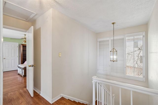 19 SANDPIPER ROAD, Tampa, FL 33609