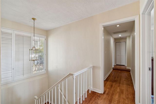 19 SANDPIPER ROAD, Tampa, FL 33609