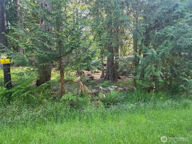 71 E Lakeshore Drive E, Shelton, WA 98584