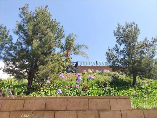 11811 Cramer Road, Yucaipa, CA 92399