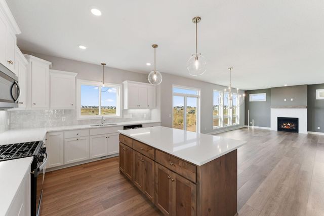 15035 Ardmullivan Lane, Rosemount, MN 55068