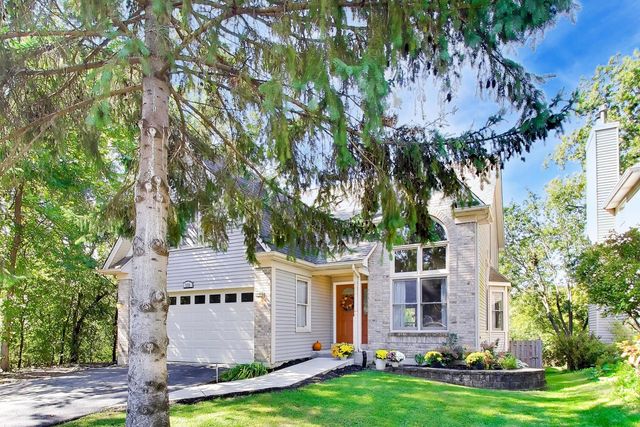 250 Knoll Street, Wheaton, IL 60187