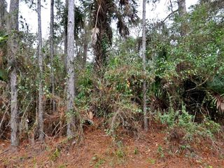Camel Ave, North Port, FL 34287