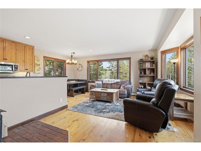 57 Trout Creek Cir, Divide, CO 80814