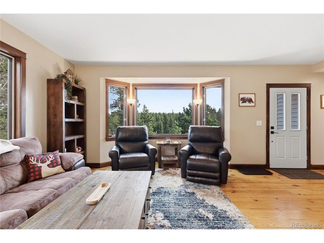 57 Trout Creek Cir, Divide, CO 80814