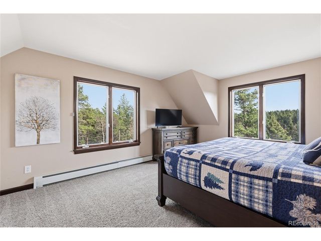 57 Trout Creek Cir, Divide, CO 80814