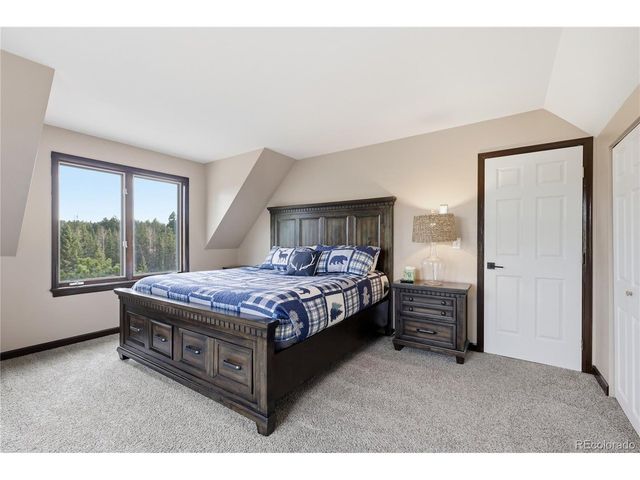 57 Trout Creek Cir, Divide, CO 80814