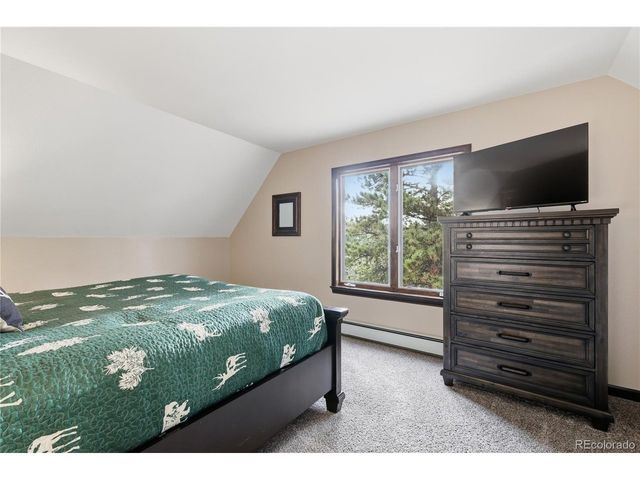 57 Trout Creek Cir, Divide, CO 80814