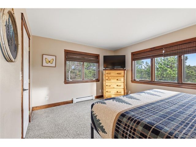 57 Trout Creek Cir, Divide, CO 80814