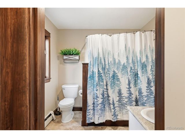 57 Trout Creek Cir, Divide, CO 80814