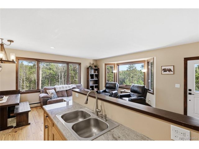 57 Trout Creek Cir, Divide, CO 80814