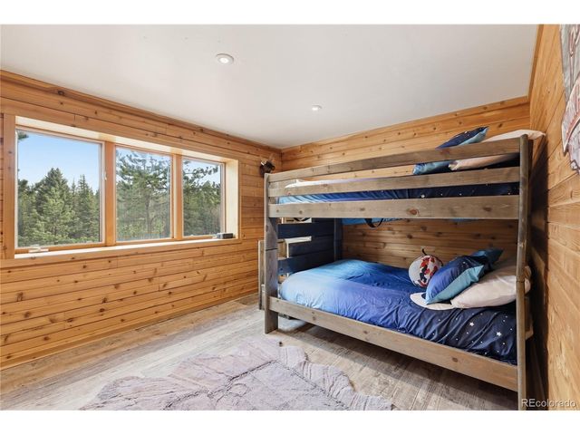 57 Trout Creek Cir, Divide, CO 80814