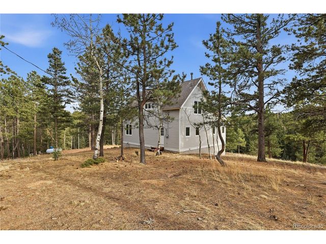57 Trout Creek Cir, Divide, CO 80814