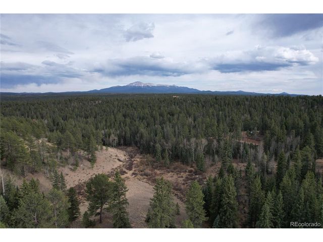 57 Trout Creek Cir, Divide, CO 80814