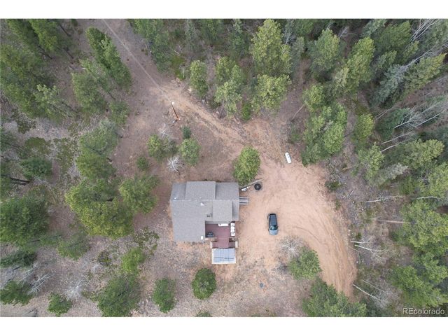 57 Trout Creek Cir, Divide, CO 80814
