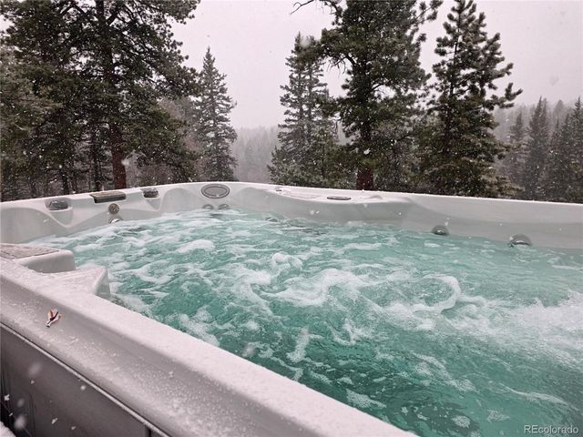 57 Trout Creek Cir, Divide, CO 80814