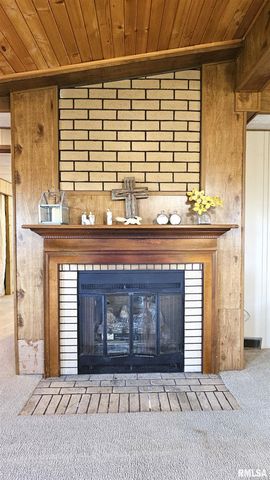 14228 Lake Of Egypt Road, Marion, IL 62959