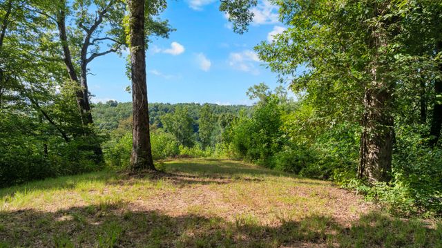 0 Coconut Ridge Road, Smithville, TN 37166