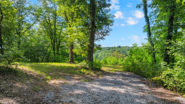 0 Coconut Ridge Road, Smithville, TN 37166