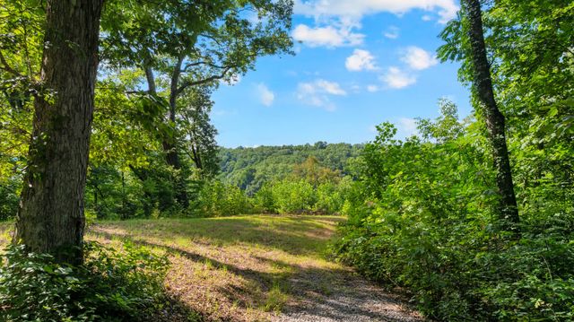 0 Coconut Ridge Road, Smithville, TN 37166