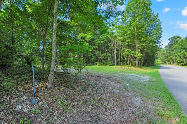 0 Coconut Ridge Road, Smithville, TN 37166