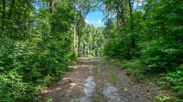 0 Coconut Ridge Road, Smithville, TN 37166