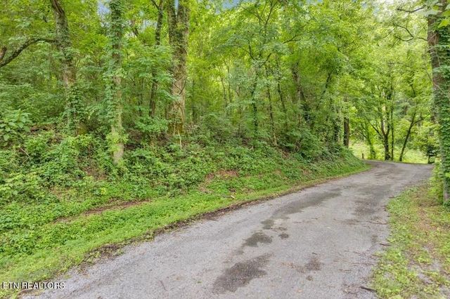 0 Hurricane Branch Lane, Gainesboro, TN 38562