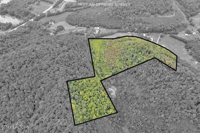 0 Hurricane Branch Lane, Gainesboro, TN 38562