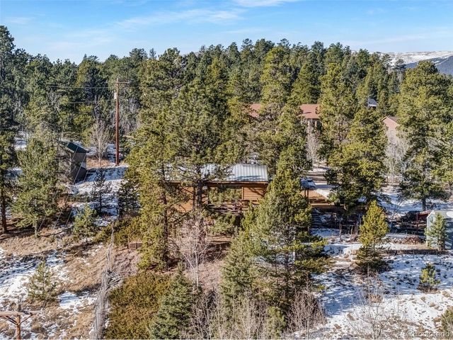 305 Bristlecone Cir, Bailey, CO 80421