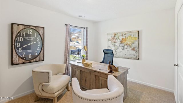 221 Artist Avenue, Johnson City, TN 37615