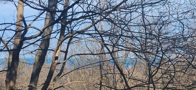 1 The Ledge, Portage, IN 46368