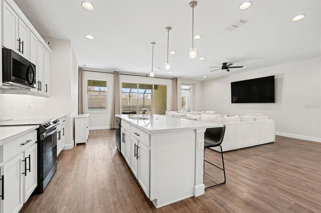 30008 VIENNA WOODS LANE, Wesley Chapel, FL 33545