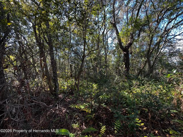 2293 Marietta Avenue, Spring Hill, FL 34608