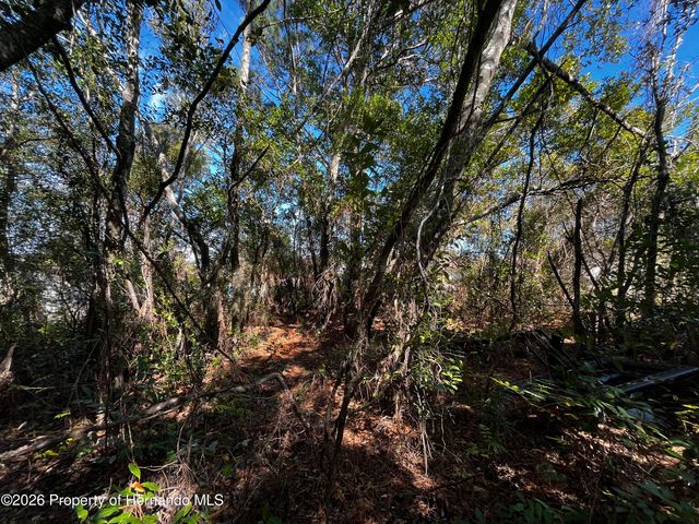 2293 Marietta Avenue, Spring Hill, FL 34608