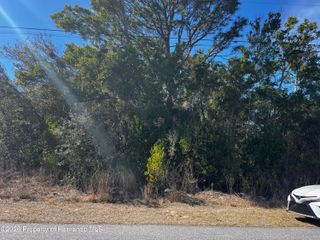 2293 Marietta Avenue, Spring Hill, FL 34608