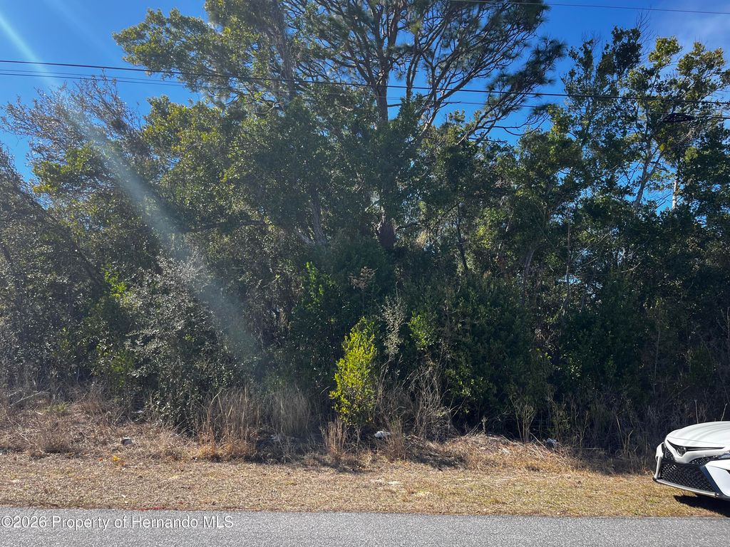 2293 Marietta Avenue, Spring Hill, FL 34608