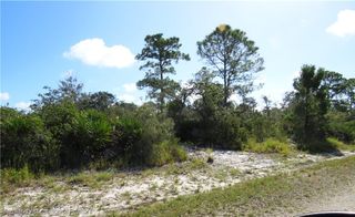 1150 Egret Street, Lake Placid, FL 33852