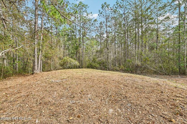 4938 BASIL Street, Middleburg, FL 32068