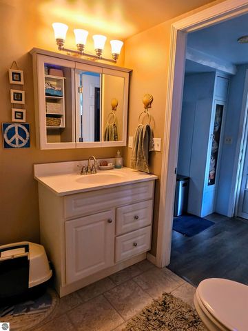 3682 E Cedar Lake Drive, Greenbush, MI 48738