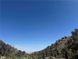 40124 Scenic Creek, Pinon Hills, CA 92372