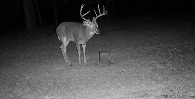 10698 S Childrens Lane, Caddo, OK 74729