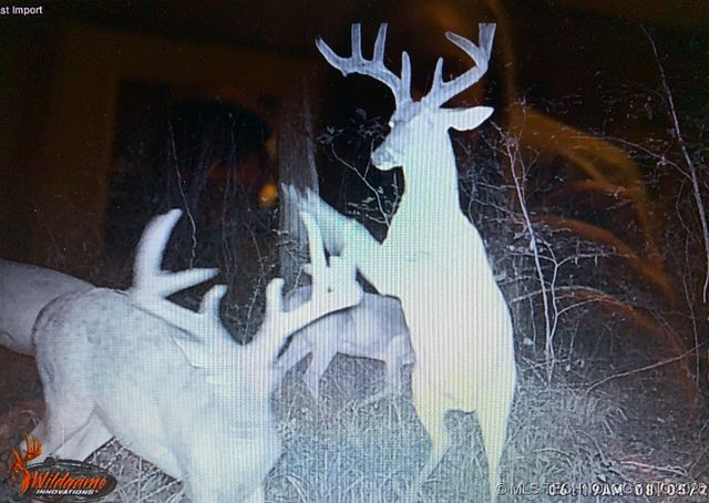 10698 S Childrens Lane, Caddo, OK 74729