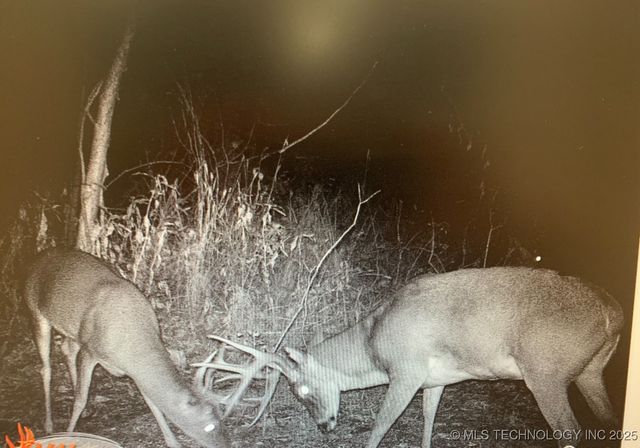 10698 S Childrens Lane, Caddo, OK 74729