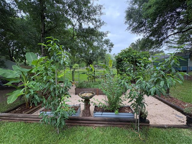251 Mudd Street, Coldspring, TX 77331
