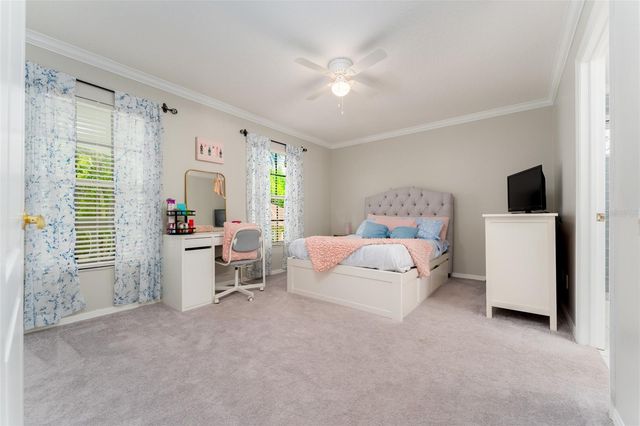 15303 HIDDEN ARBOR COURT, Odessa, FL 33556