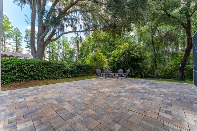 15303 HIDDEN ARBOR COURT, Odessa, FL 33556