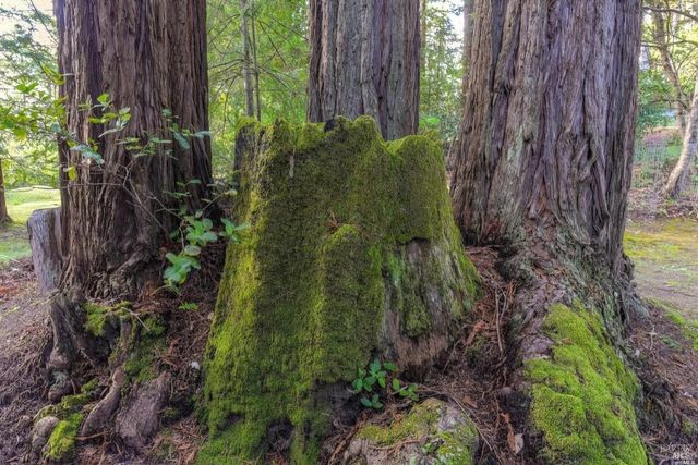 46800 Ocean View Dr, Gualala, CA 95445