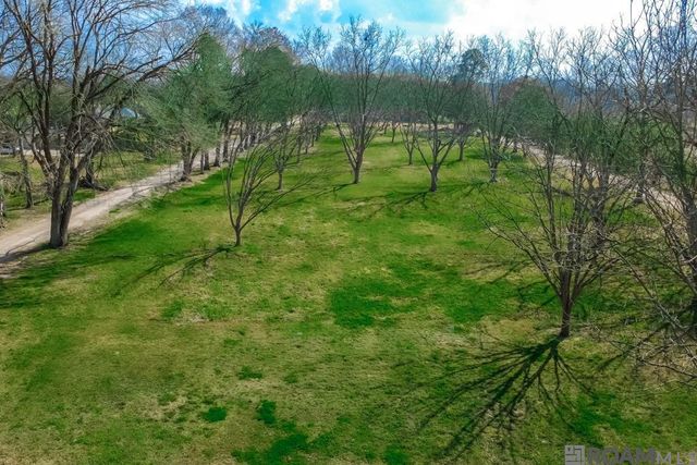 14204 Patin Dyke Rd, Ventress, LA 70783